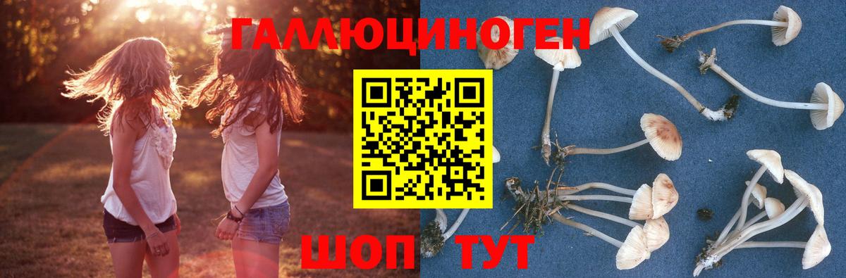 Сунжа  Галлюциногенные грибы ЛСД  Псилоцибиновые грибы MAGIC MUSHROOMS  Вход с VPN 